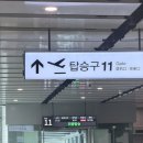 모래밭 민박 | 3월 봄 제주 서쪽 3박4일 여행 코스