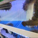 팔팔회센타 이미지