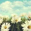 경희스토리한의원 이미지