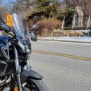 정선군 버들고개 이미지