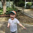 백양가족공원 이미지