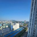 URBAN TREE 39 이미지