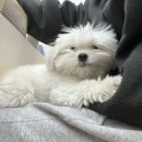 쏘유뷰티