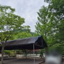 전원일기마을 오토 캠핑장 | 아이랑 함께하기 좋은 삼하리 전원일기마을 캠핑장