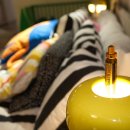 웰스리믹 이미지