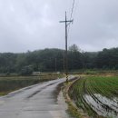 화진포둘레길(죽정리) 이미지