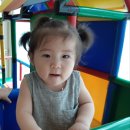 개굴개굴 이미지