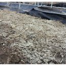 운모농장 이미지