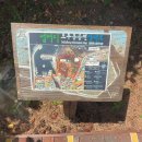 무지개다방 - 진도군 남문길 27 | 제주공항근처 가볼만한곳 무지개해안도로 도두봉 여행코스 추천
