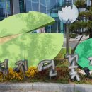 성지연꽃길 이미지