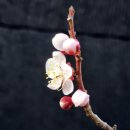 상지농장 이미지