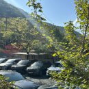 밀양댐유원지식당 | 부산 근교 캠핑장, 밀양 유원지 오토캠핑장 이용후기