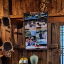 매화동길 8 | 정선펜션, 매화골산촌 방문 후기