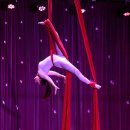 동춘서커스 공연장 이미지