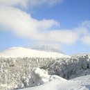 제주 한라산의 그림같이 아름다운 설경 이미지