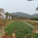 내가면-3 이미지