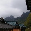 신흥사 이미지
