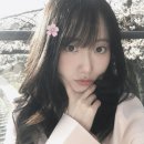 헬로멍뭉 | • 2504 •