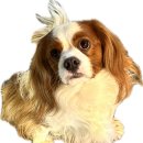 2호선 센텀시티역 1번출구 | 2026 부산카페쇼 솔직후기 (웨이팅은?)