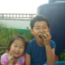 행운동-9 이미지