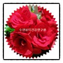 현내과연합의원 이미지