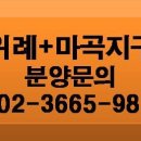 SH메디컬 이미지