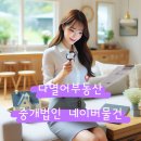 다열어부동산중개 이미지