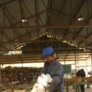 상일톱밥 이미지