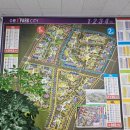 선일초등학교 건너편 이미지