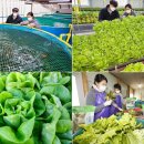 인기농장 이미지