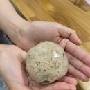 여주-0303 | 미야코지마 맛집, 현지인도 예약 필수 앗타카야(feat. 예약 방법 등)