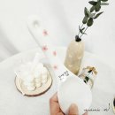 지호세라믹 | 특별한 돌답례품 세라믹엔 친환경 도자기주걱 내돈내산 추천
