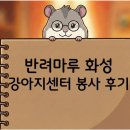 (주)마루펫 | 반려마루 화성 강아지입양센터 봉사 후기 (주말 오후 타임, 준비물)