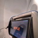 S-005 | 푸켓 자유여행 당일 예약 실화? 진에어 LJ005 탑승기 &amp; 공항 환전의 반전 매력