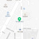 강아지분양 고양이분양 컴투펫 수원점 이미지