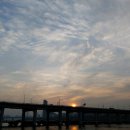 세빛약국 이미지