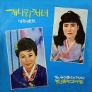 정화순 Daum카페
