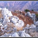 양림목장 이미지