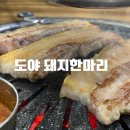 도야돼지한마리