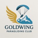 AI시대 재미로 만들어본 골드윙 로고 이미지