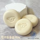 한국반려동물전문학원