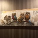 황실체형관리 이미지