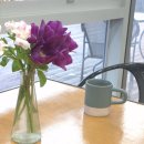 밀독(MILLDOG) 이미지