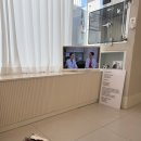 케어덴 동물치과&내과병원 | 12살 잉글리쉬불독, 케어덴 동물치과병원 치료 후기