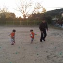 안흥초병설 이미지