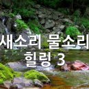 새소리물소리 이미지