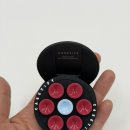 블로썸 | 케이스티파이 뽁뽁이 그립톡 핑크블로썸 맥세이프 후기 | 케이스티파이 그립톡 추천