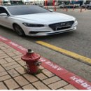 주정차-42 이미지