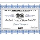 매료 돌스(MAELYO DOLLS) 이미지