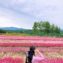 꽃밭주유소 이미지